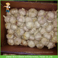 2016 Новый урожай китайского чеснока Цена 5.5cm Размер Нормальный белый чеснок На рынок Бразилии